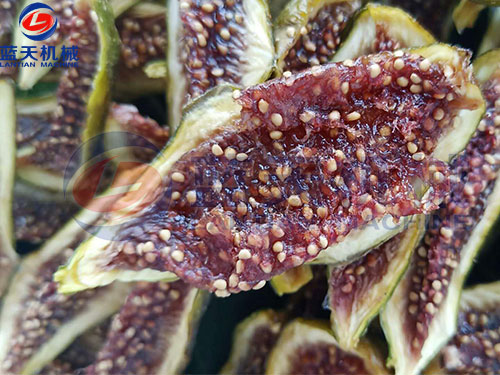 家用水果烘干機(jī)多少錢(qián)一臺(tái)？